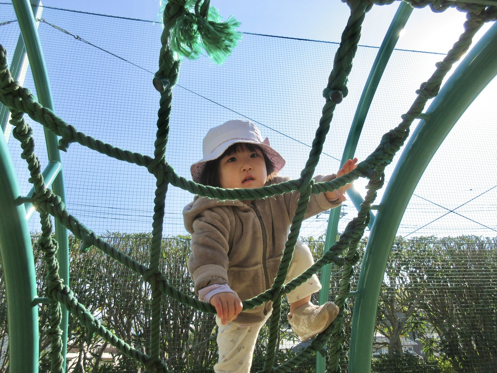 散歩の様子（宮崎公園）