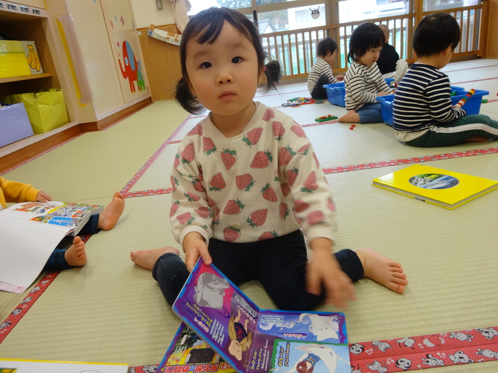 図鑑や絵本を見る子ども (4)