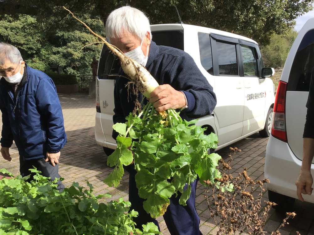 野菜