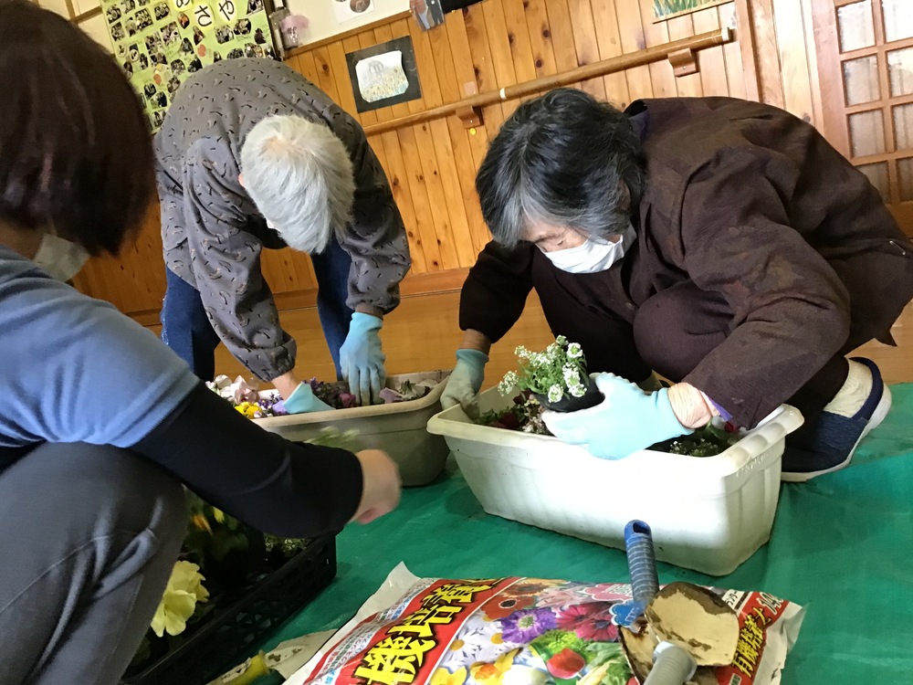 花の植え付け