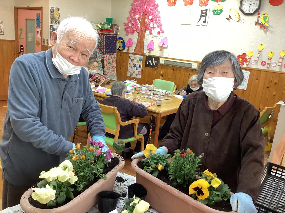 鉢植え