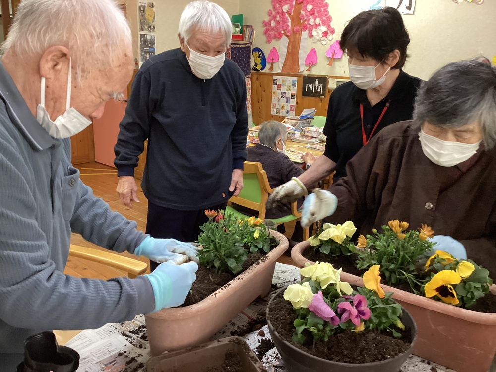 鉢植え