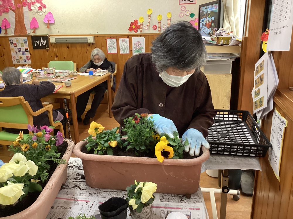 鉢植え