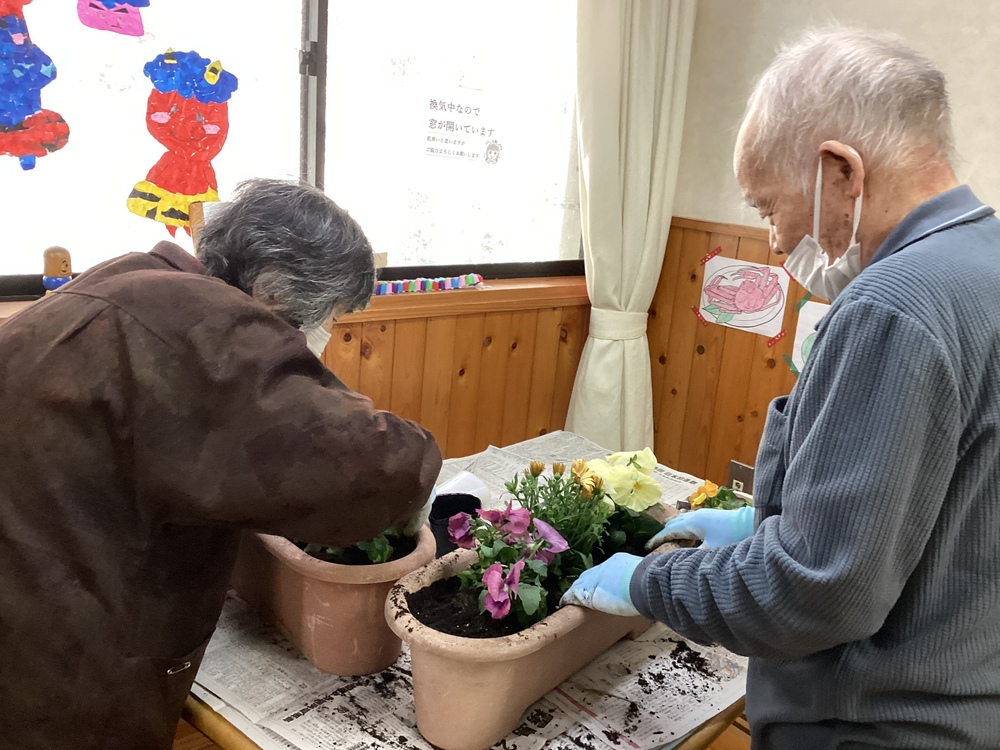 鉢植え