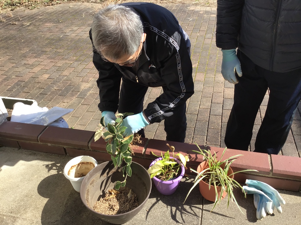 花の植え替え