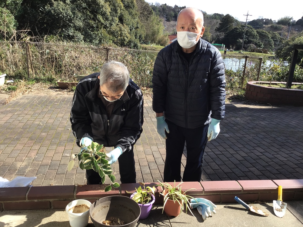 花の植え替え