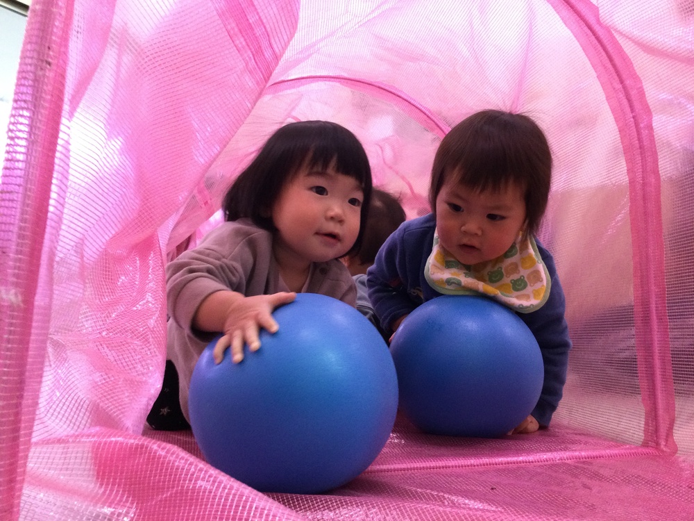 カラートンネルとボールで遊んでいる様子 (6)