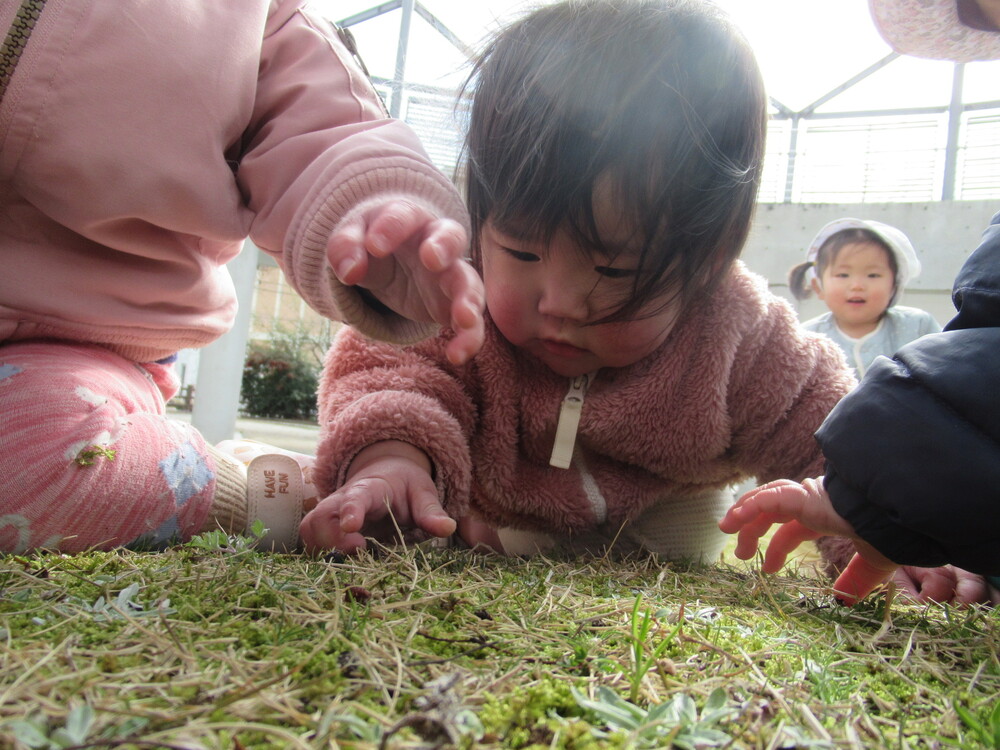 なかよし遠足に出かける子ども (10)