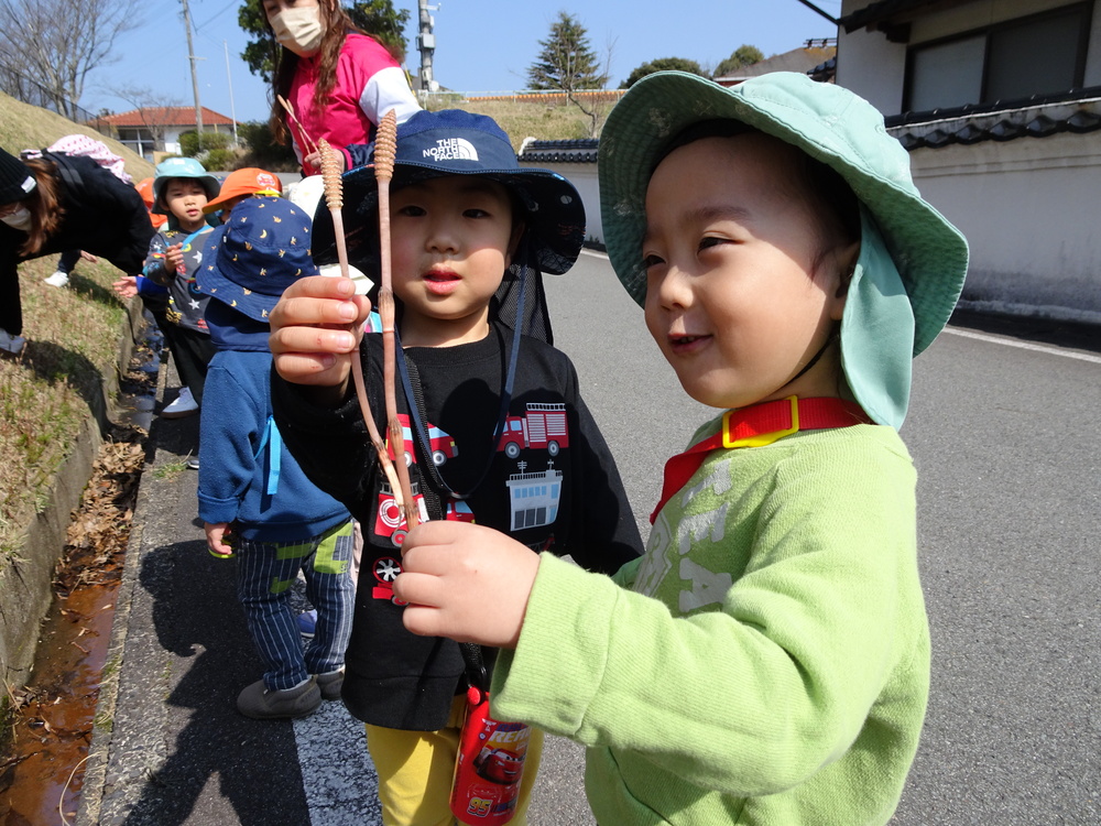 つくしを見つける