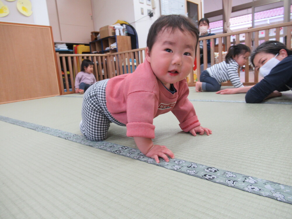 散歩とリズムの様子 (7)