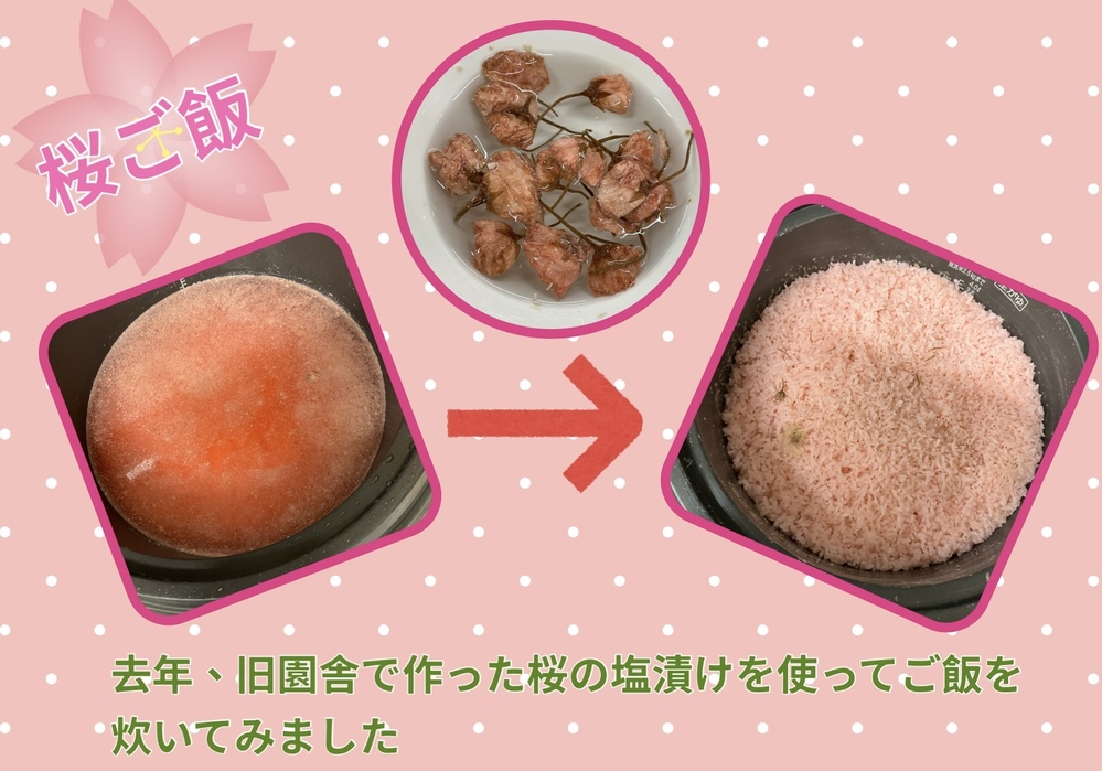 桜ご飯