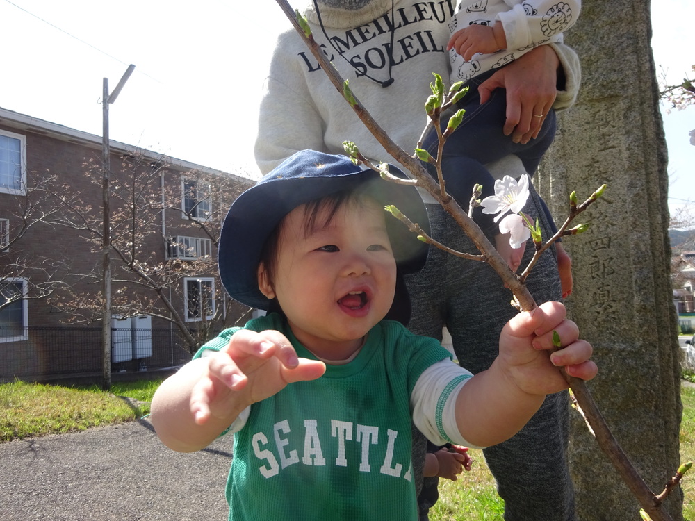 桜のつぼみを指差しをする子ども２
