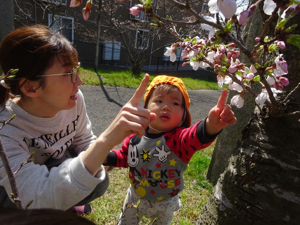 桜のつぼみを指差しをする子ども３