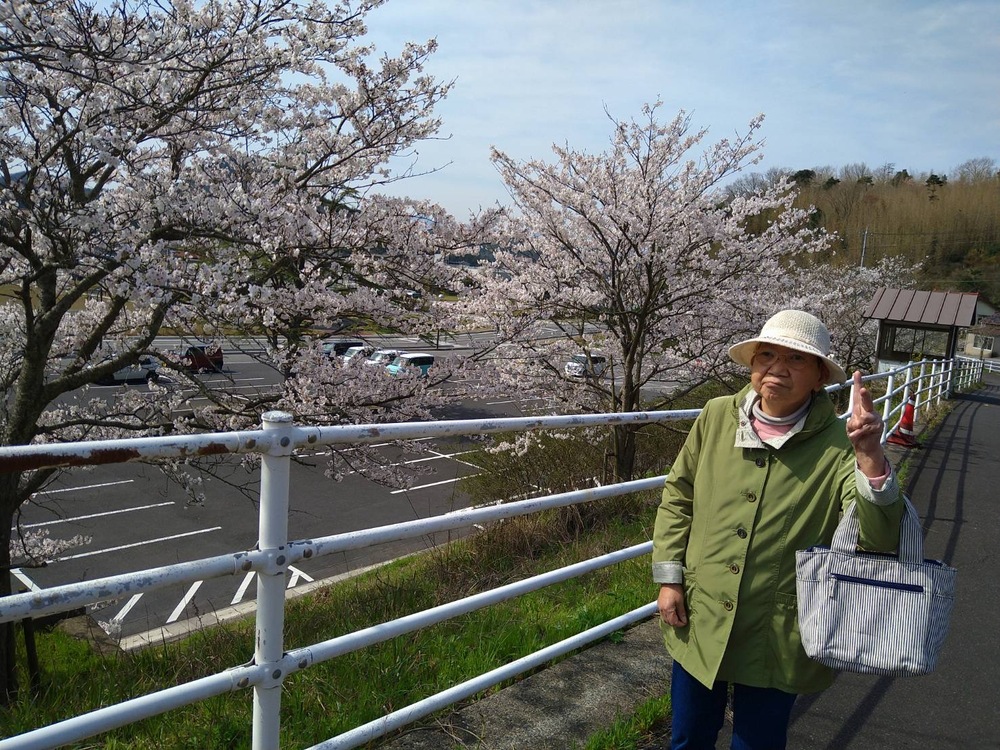 桜並木