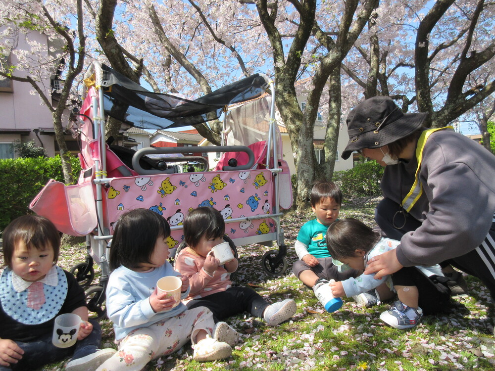 お散歩の様子 (5)