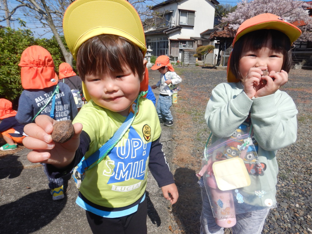 クルミを見つけた子ども