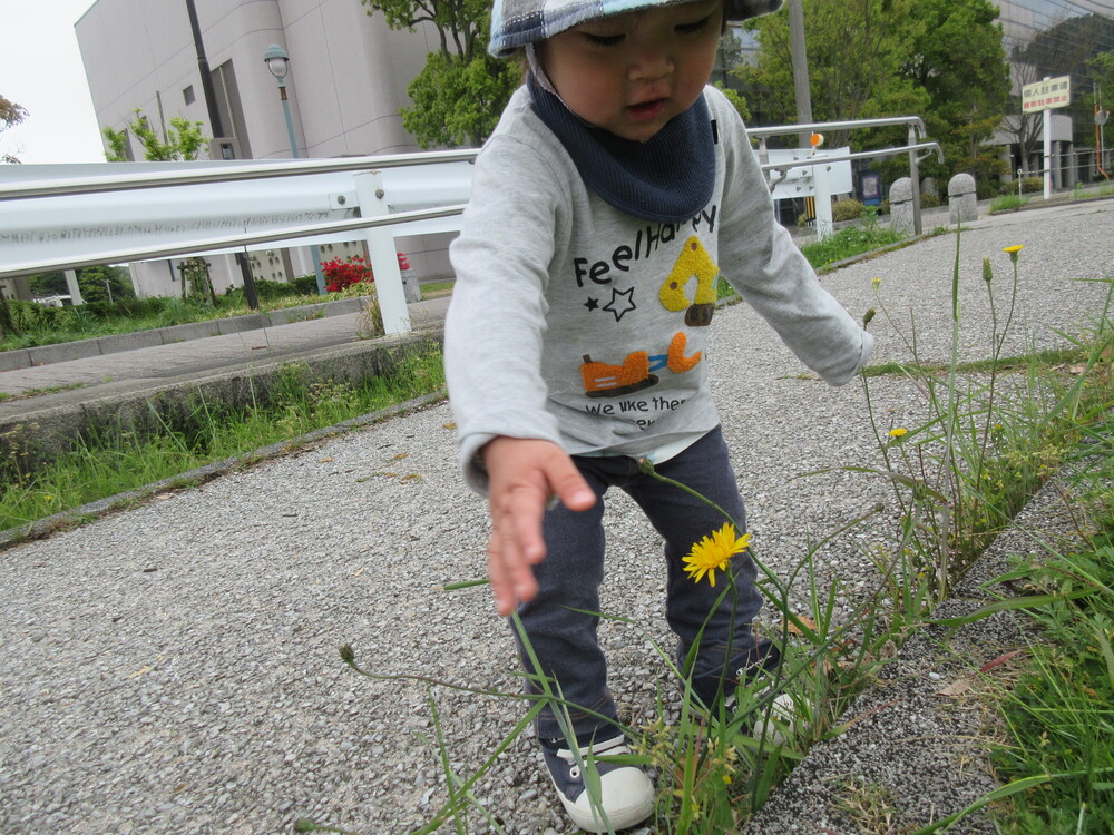 お散歩の様子 (4)