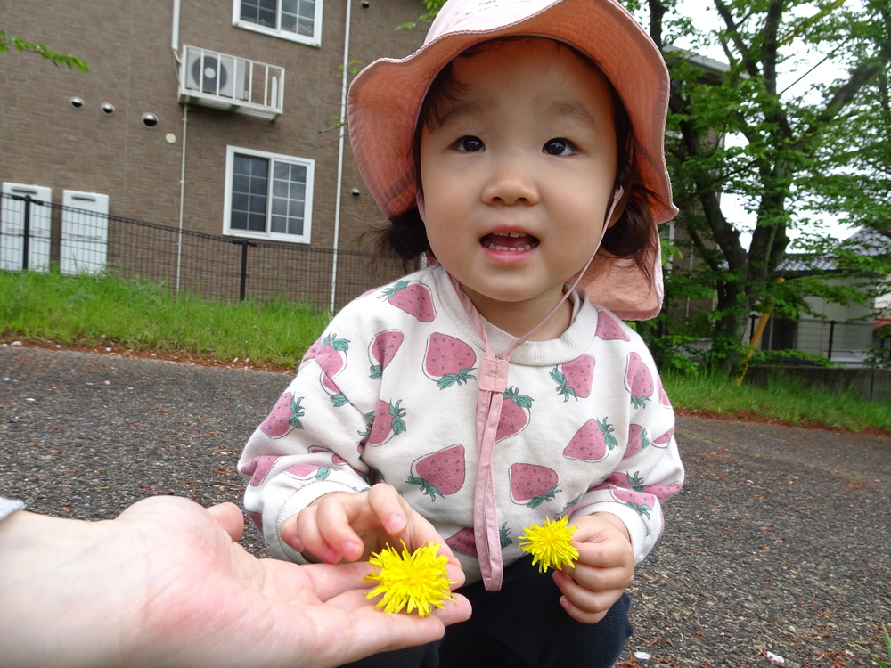 喜多の宮へお散歩に行っている様子 (3)