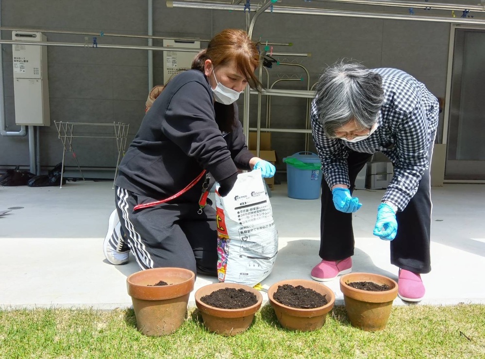 ひまわり種まき土準備