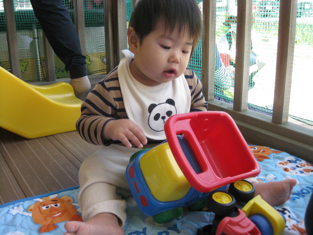 車で遊ぶ