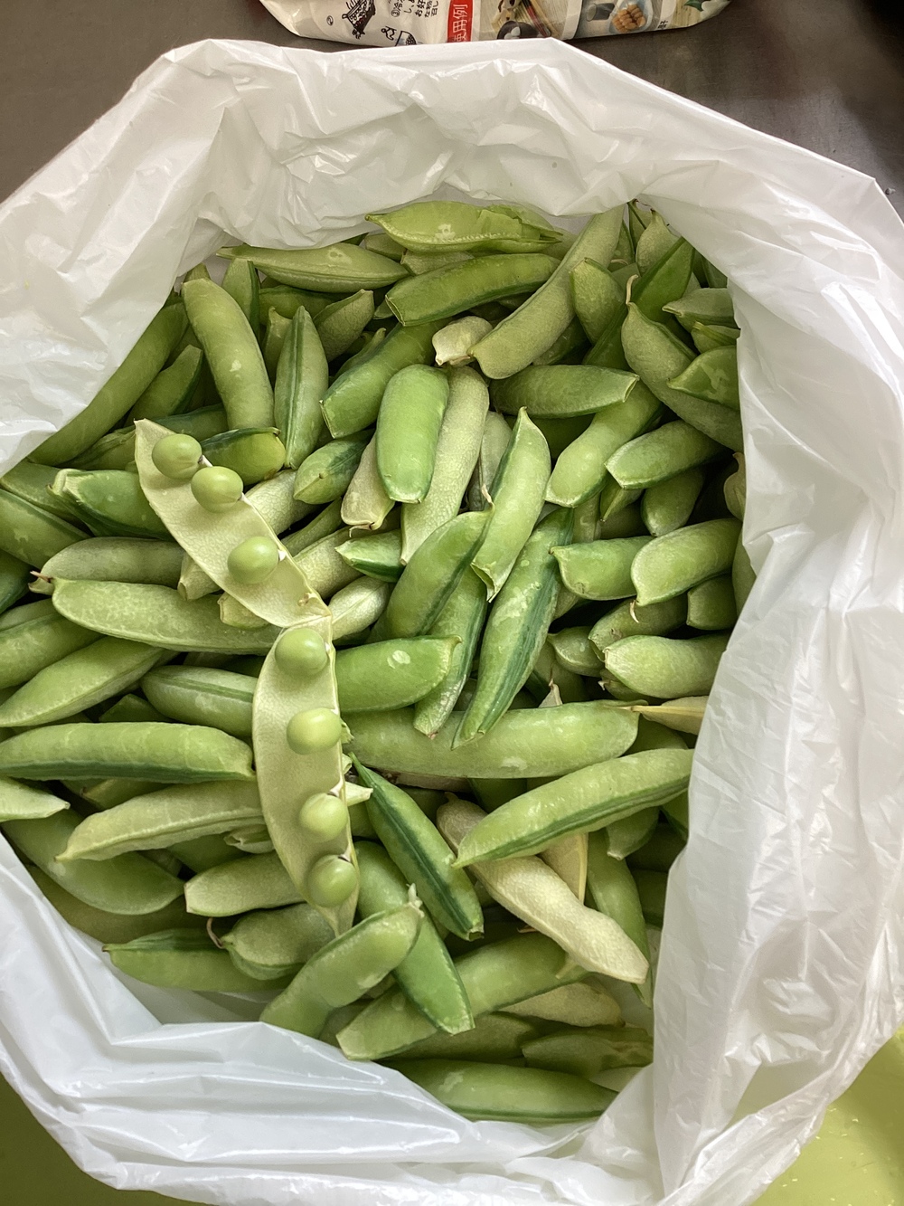 豆