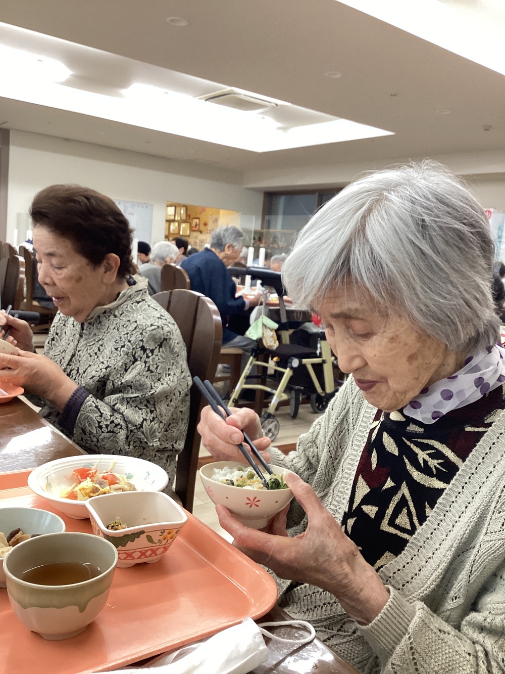 食事の様子