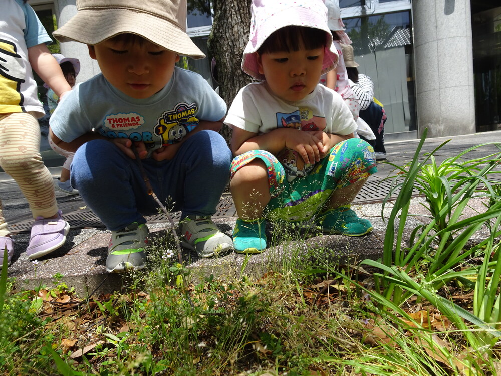 散歩先で遊ぶ子ども (1)