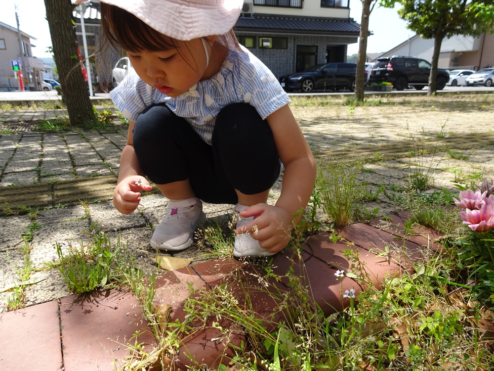 散歩先で遊ぶ子ども (6)