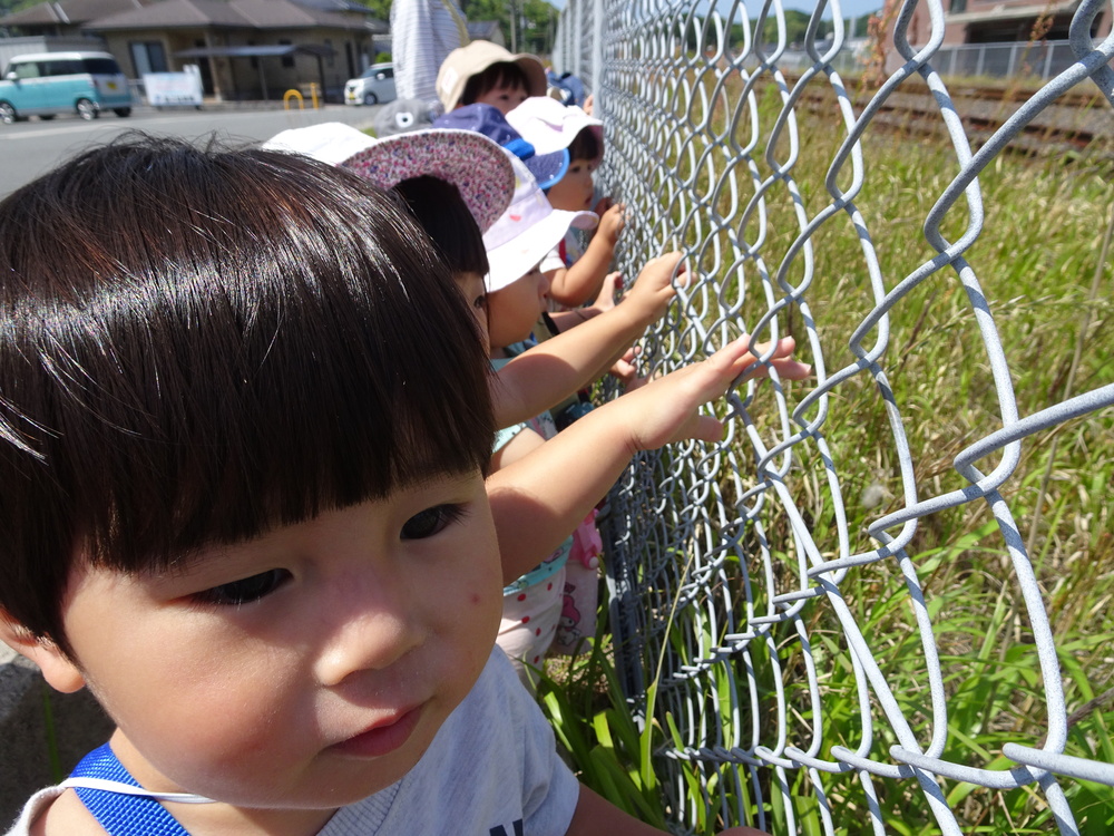 散歩先で遊ぶ子ども (9)