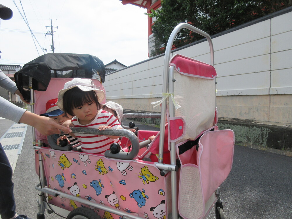トンボがいたよ