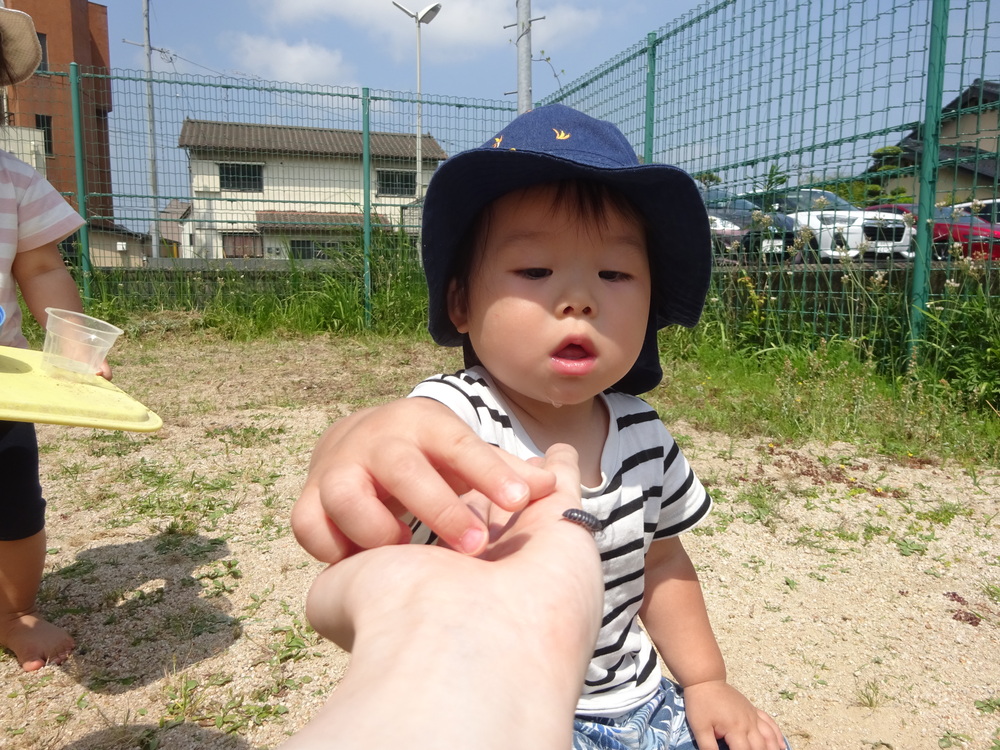 園庭で遊ぶ様子 (5)