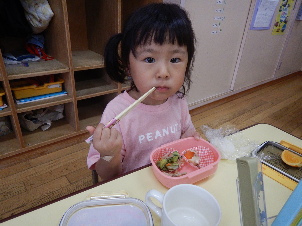 お弁当ごっこ (9)