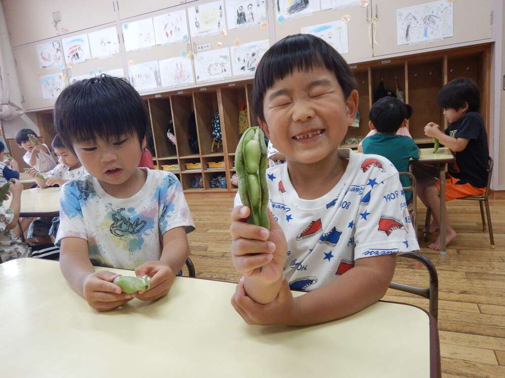 お弁当ごっこ (11)
