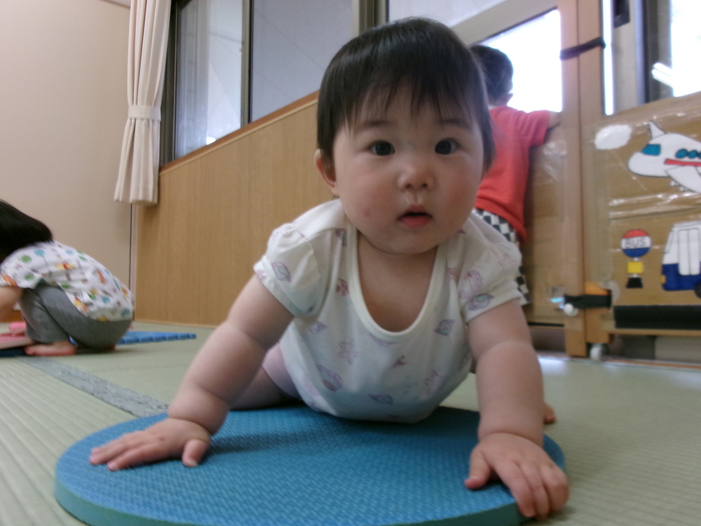 プラポイントで遊んでいる様子 (2)