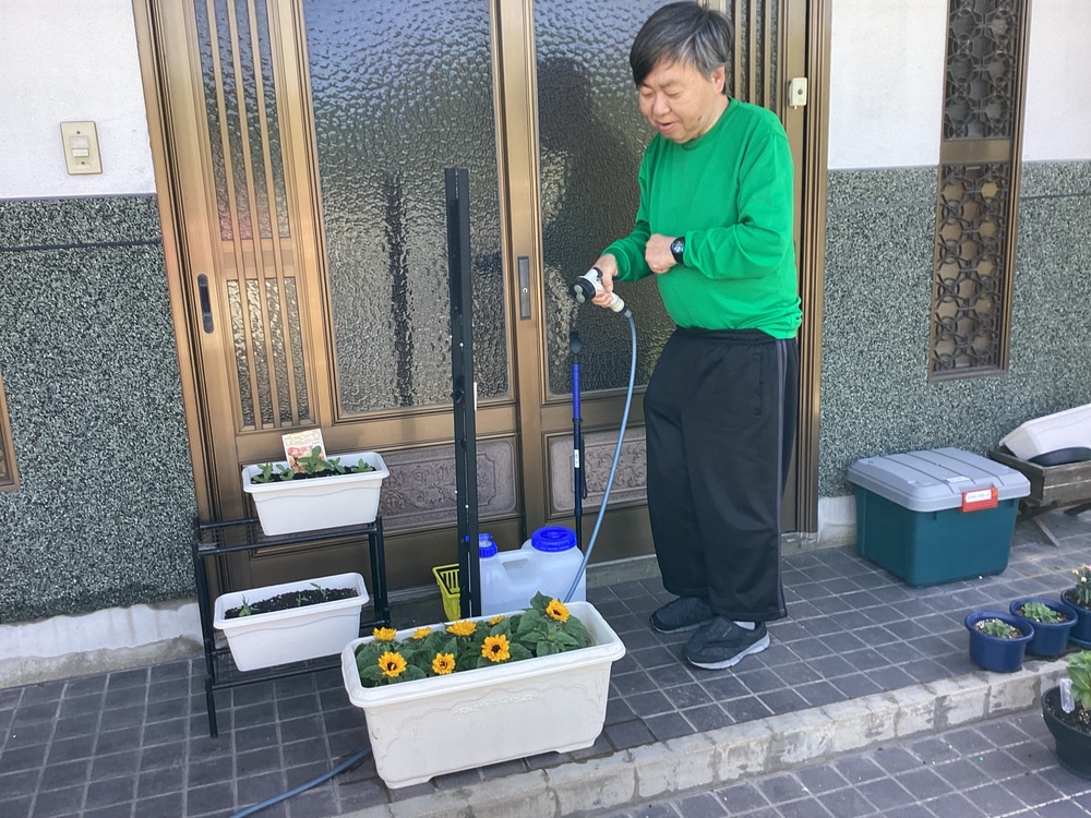 水やりは欠かせません