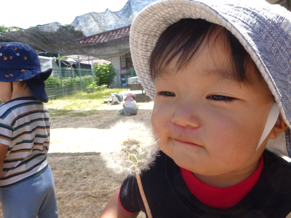 園庭遊び (1)