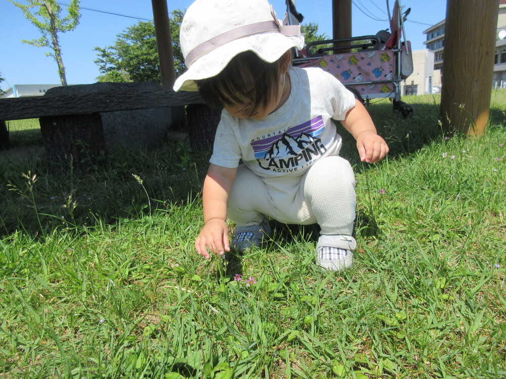 広場で遊んでいる様子 (1)