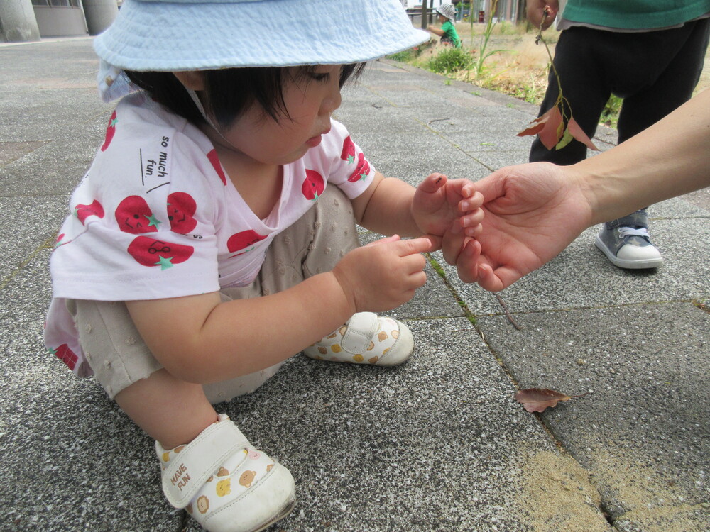 遊んでいる様子
