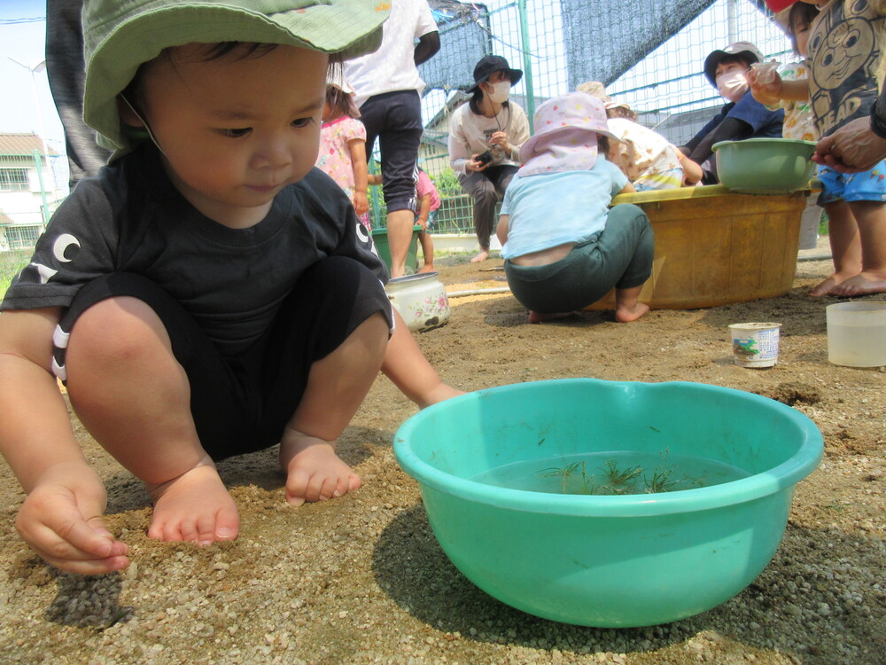 どろんこ遊びの様子 (1)