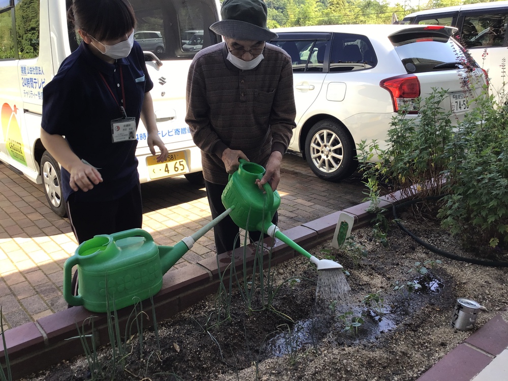 水やり