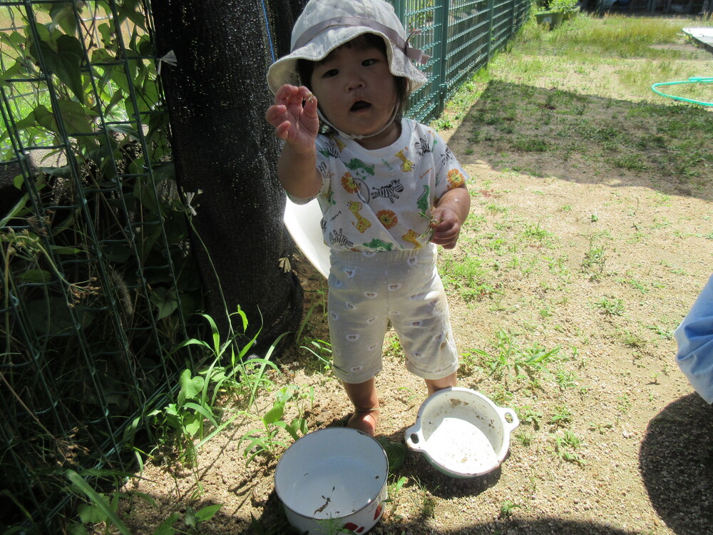 どろんこ遊びの様子