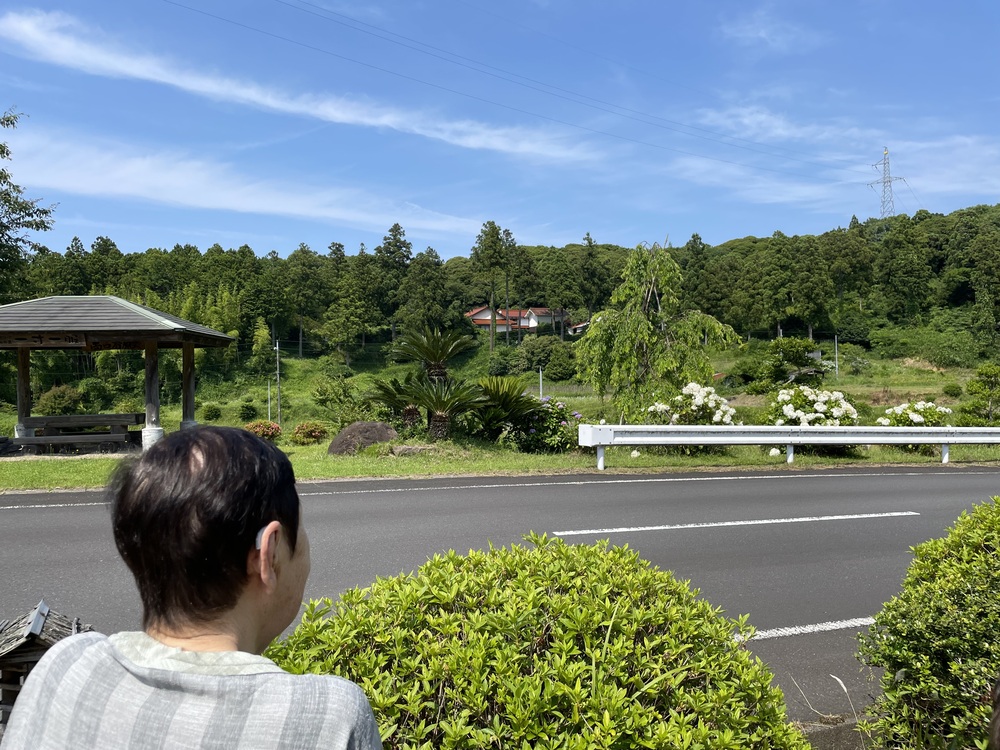 大屋ドライブ