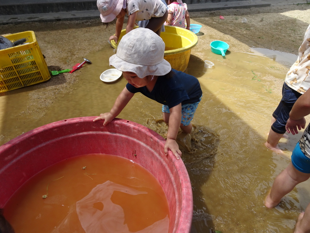 色水で遊ぶ子ども達 (4)
