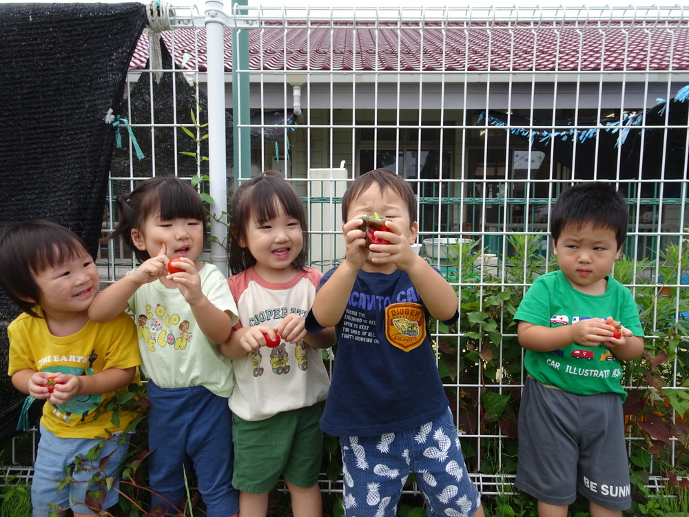 野菜を収穫する子ども (3)