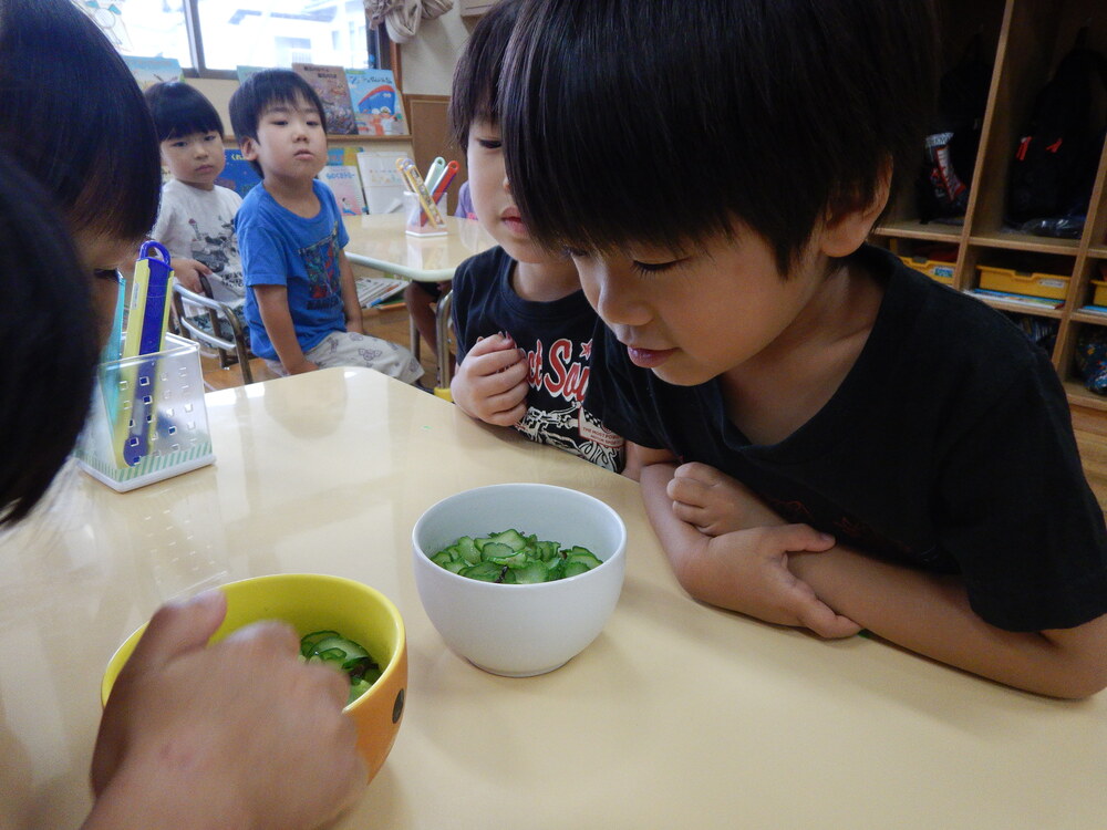 きゅうりを見ている様子 (2)