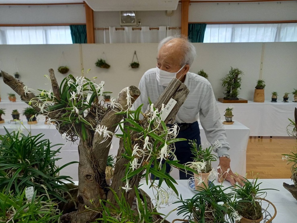 風ラン