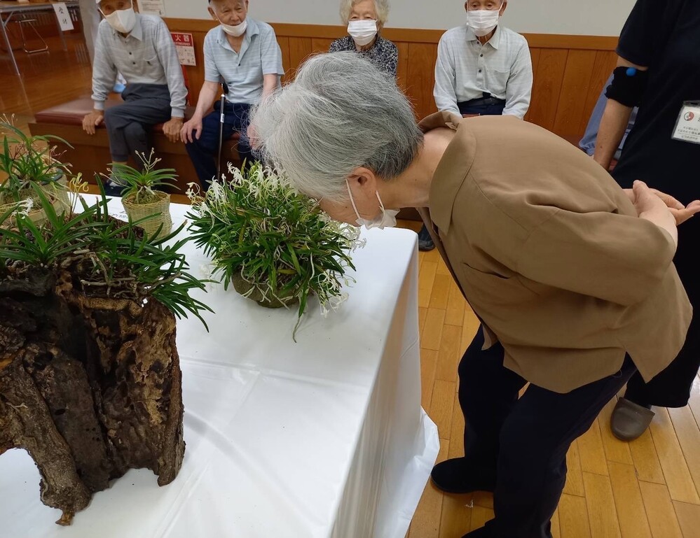 風ラン