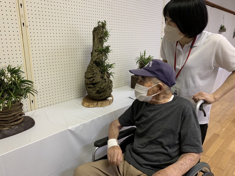 風らん