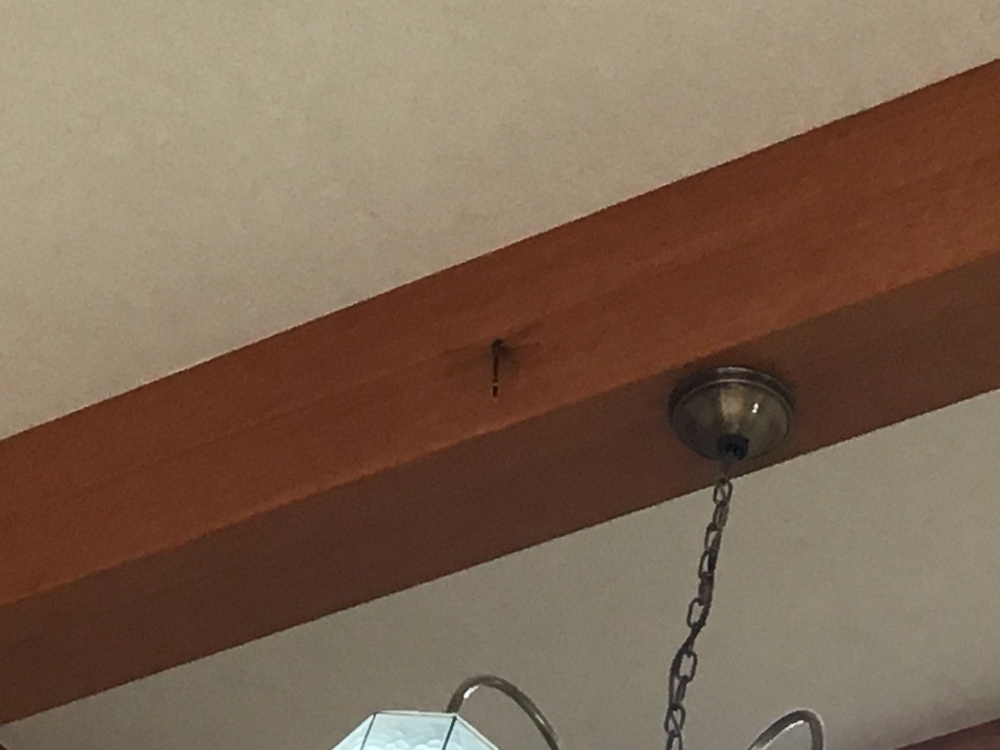 とんぼ