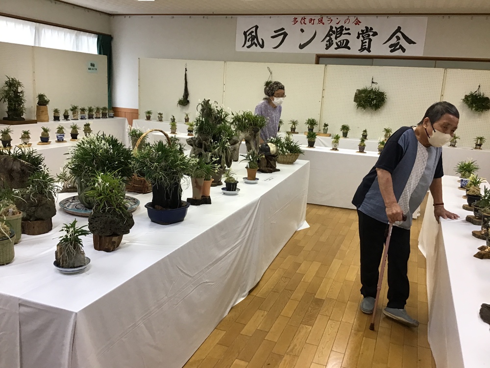 伝習館